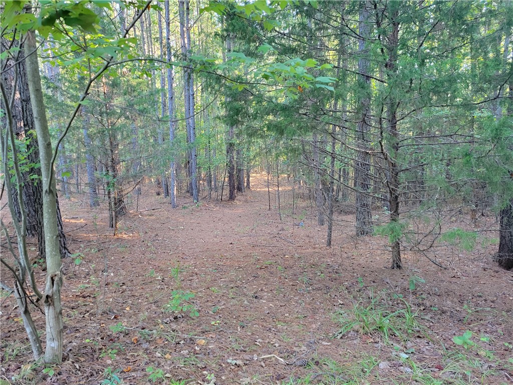 381 West Bryant Road West Union, SC 29696 - Photo 12 of 27