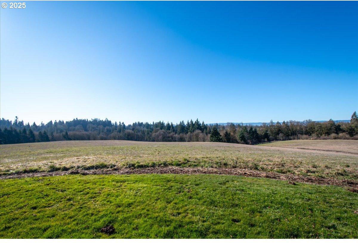 4205 Northwest 229th Street Ridgefield, WA 98642 - Photo 31 of 48 Gallery Image 31