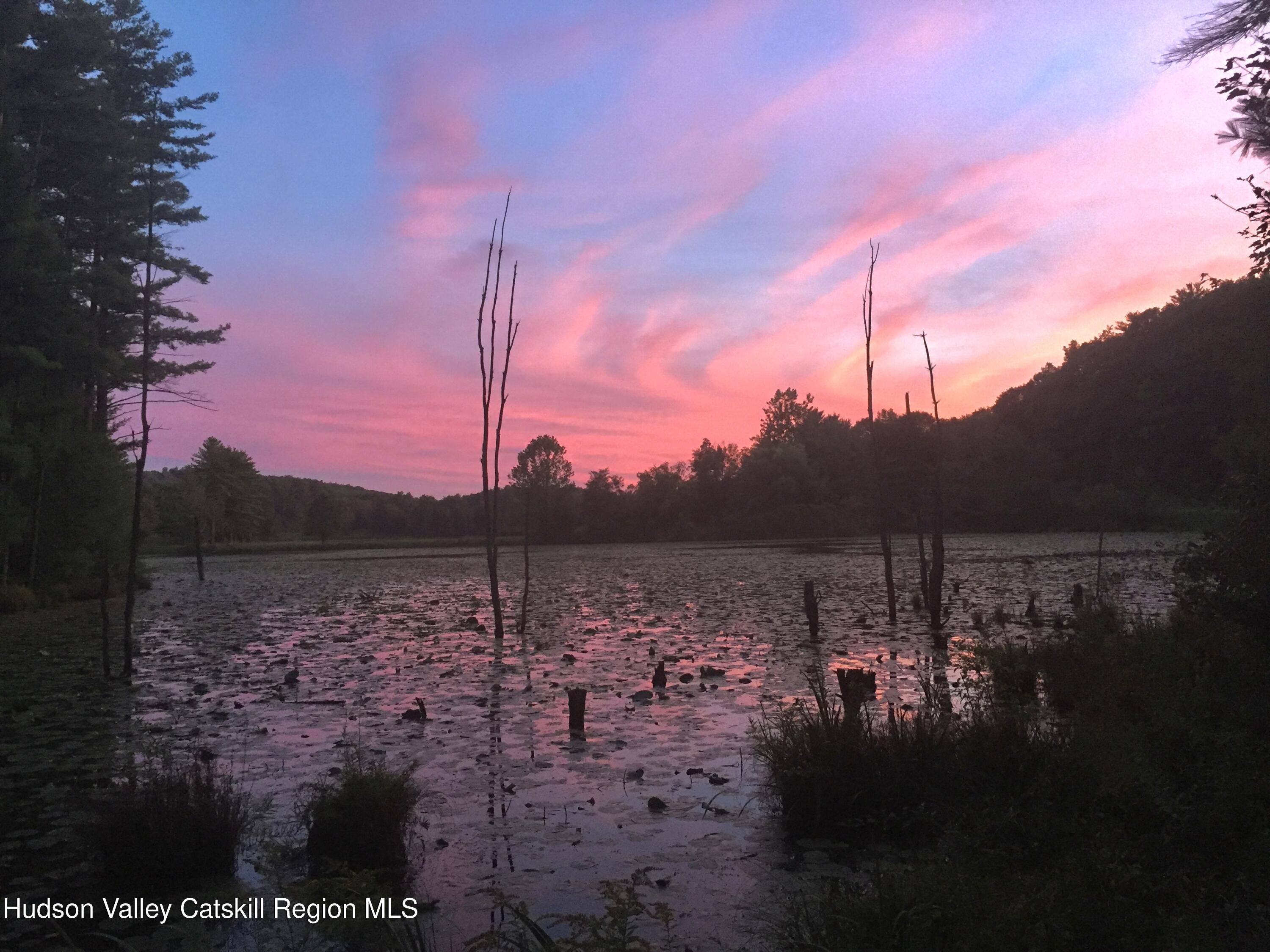 177 Webber Road Earlton, NY 12058 - Photo 39 of 50 a view of a lake