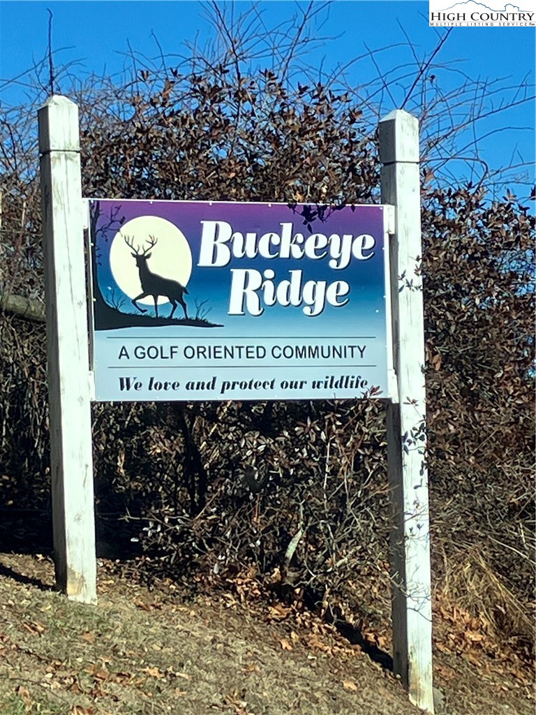 Buckeye Ridge Sparta, NC 28675 - Photo 2 of 10