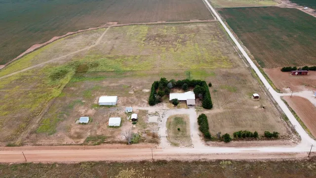a view of road view with trees