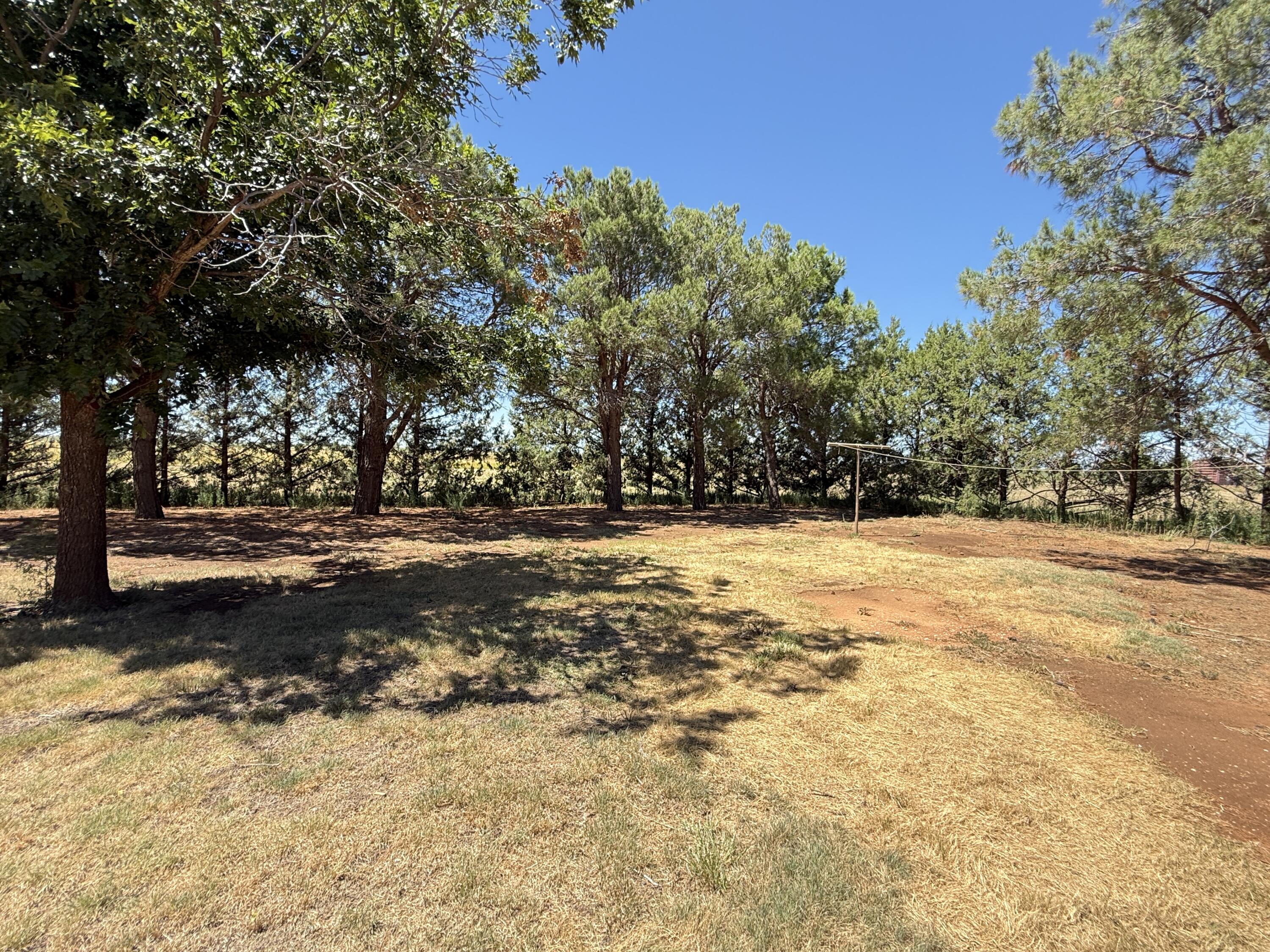 3391 Fisher Road Levelland, TX 79336 - Photo 41 of 47 a view of road view with trees