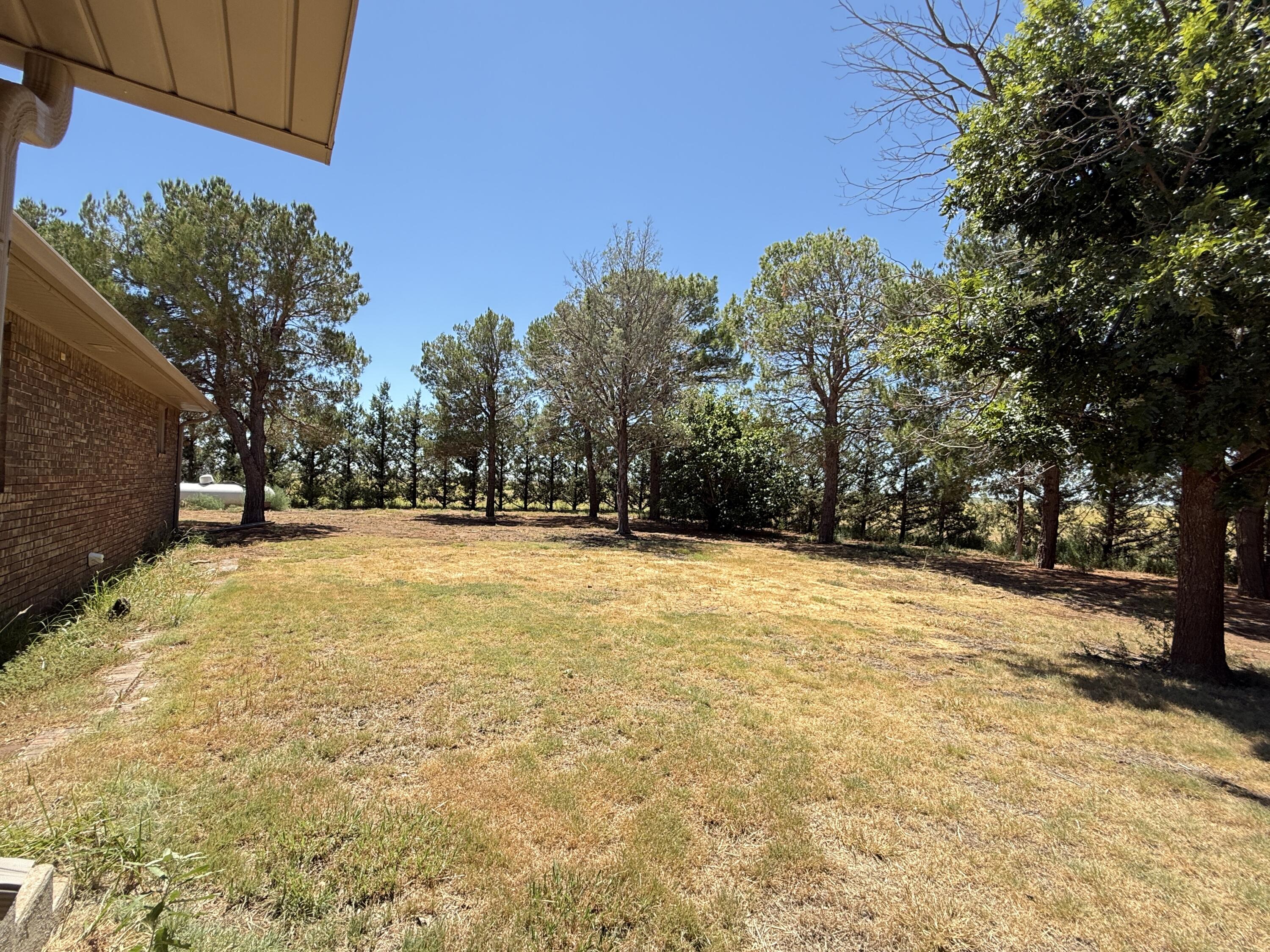 3391 Fisher Road Levelland, TX 79336 - Photo 42 of 47 a view of swimming pool with an outdoor space