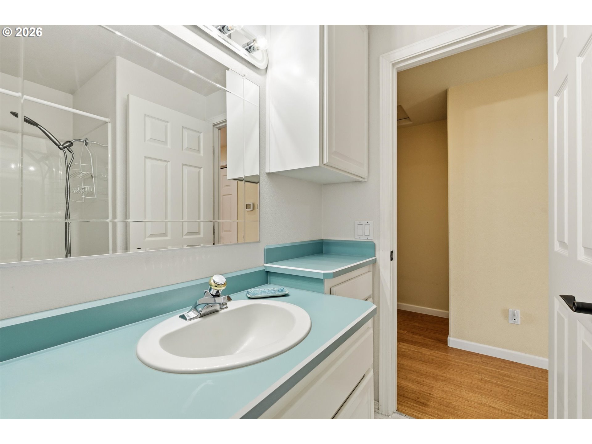 30303 Bellfountain Road Corvallis, OR 97333 - Photo 26 of 47 a bathroom with a sink and a mirror