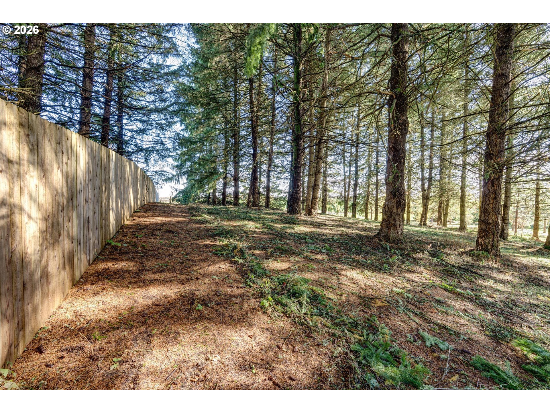 30303 Bellfountain Road Corvallis, OR 97333 - Photo 44 of 47 a backyard of a house with lots of green space