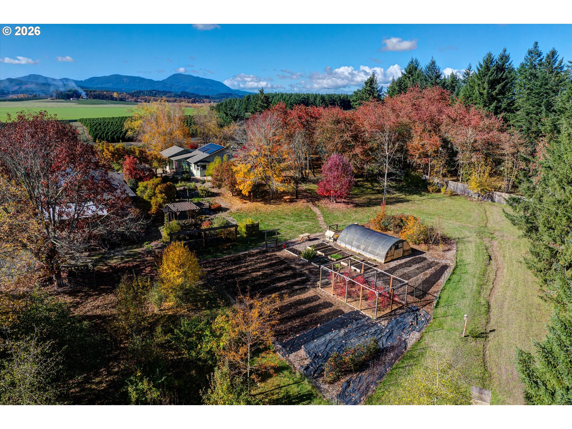 30303 Bellfountain Road Corvallis, OR 97333 - Photo 46 of 47 a view of a backyard of a house with a yard