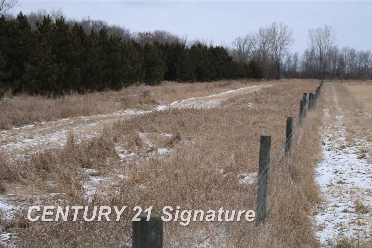 445 West Howard Road Beaverton, MI 48612 - Photo 10 of 10