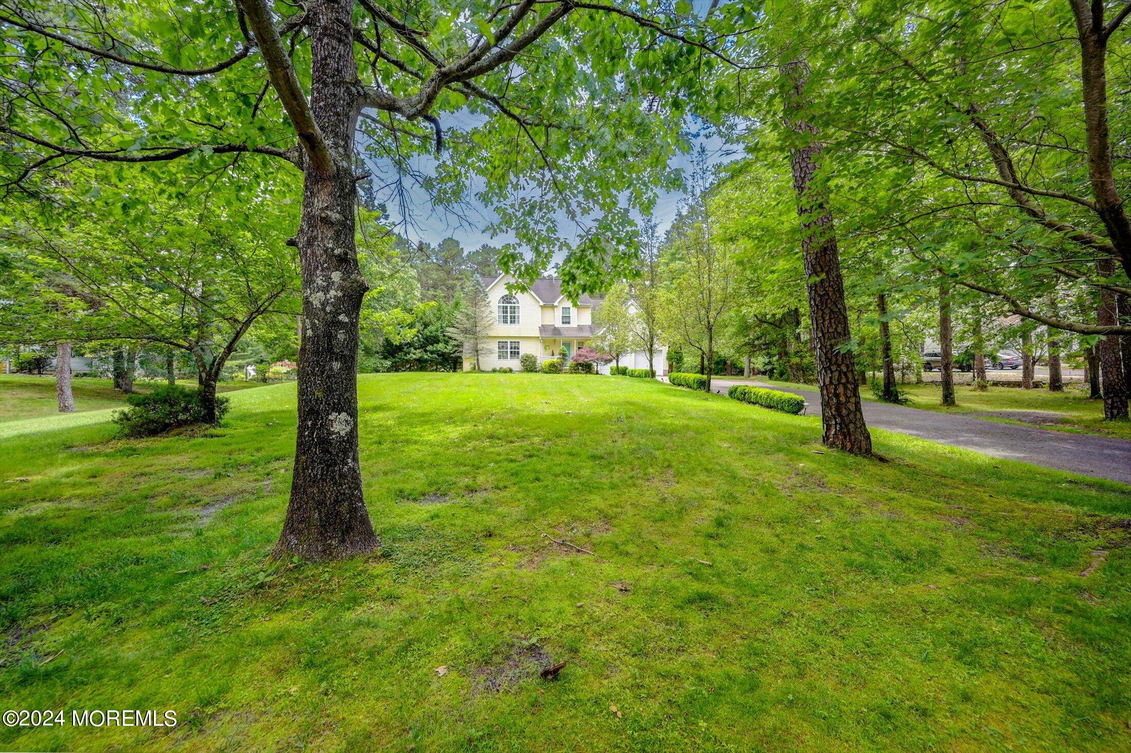 227 East Pleasant Grove Road Jackson, NJ 08527 - Photo 50 of 53 a view of a trees with a yard