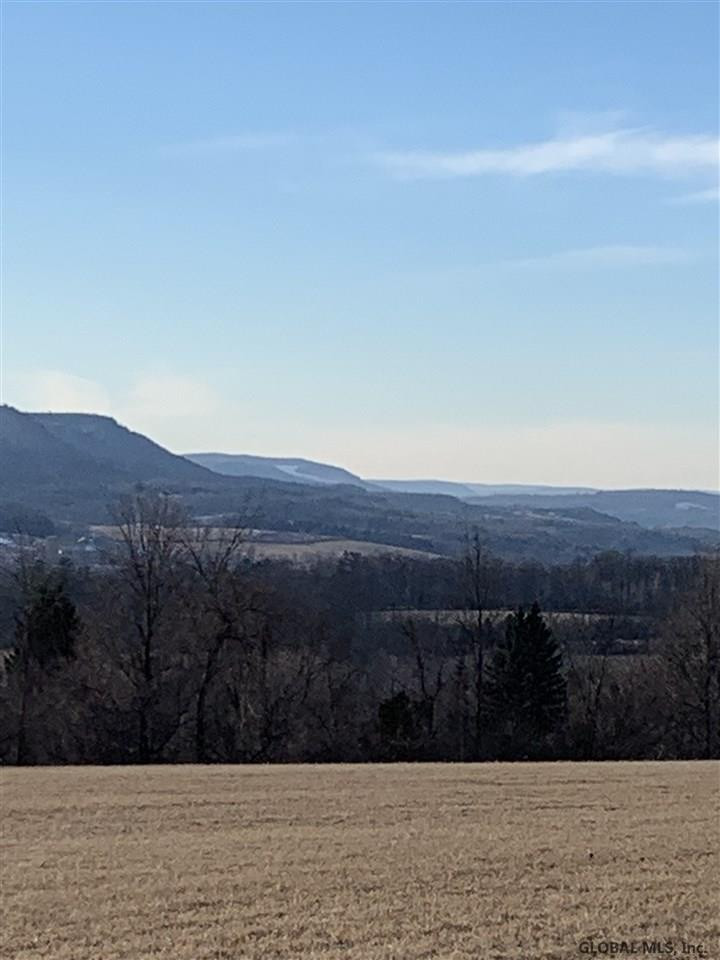 0 Line Road Berne, NY 12023 - Photo 1 of 32 Photo 1
