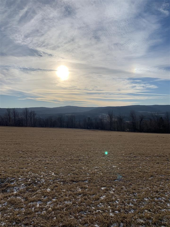 0 Line Road Berne, NY 12023 - Photo 11 of 32 Photo 11