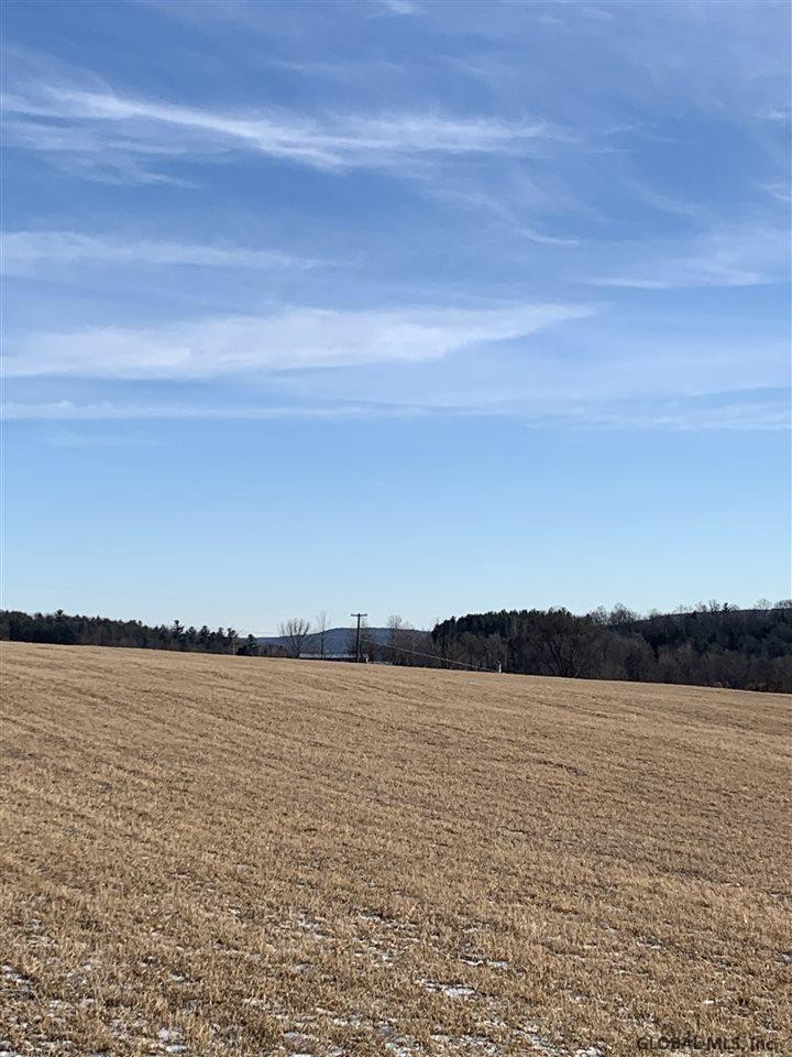 0 Line Road Berne, NY 12023 - Photo 14 of 32 Photo 14