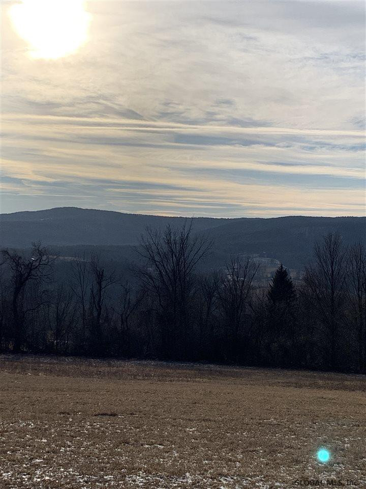 0 Line Road Berne, NY 12023 - Photo 15 of 32 Photo 15