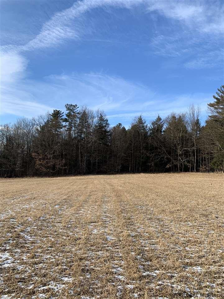 0 Line Road Berne, NY 12023 - Photo 16 of 32 Photo 16