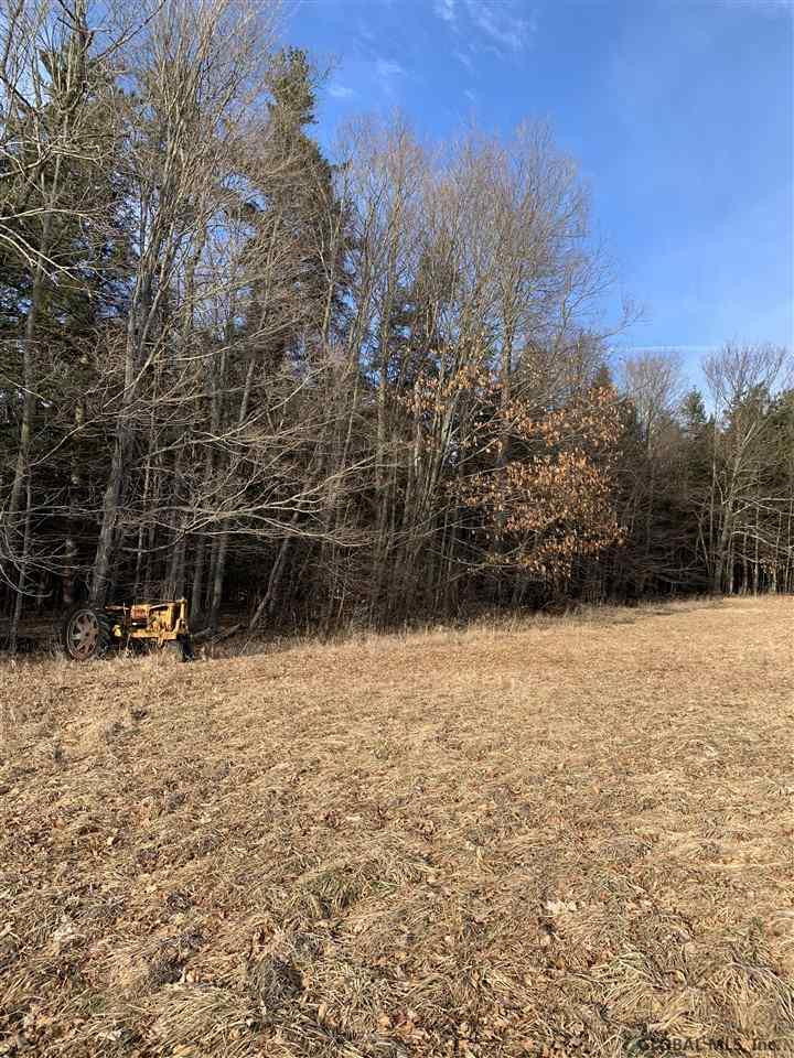 0 Line Road Berne, NY 12023 - Photo 17 of 32 Photo 17