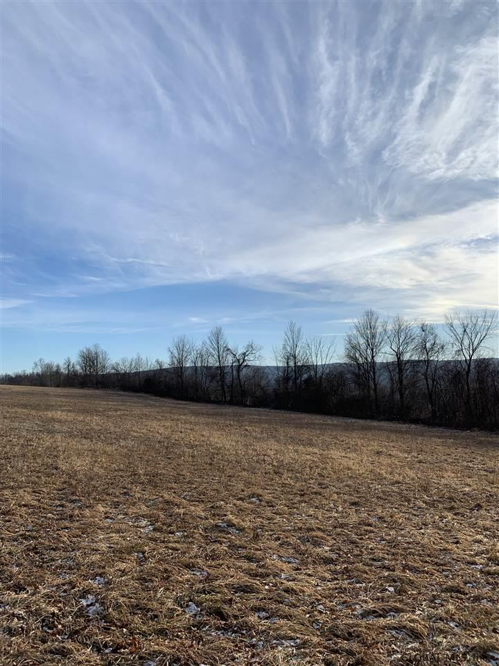 0 Line Road Berne, NY 12023 - Photo 19 of 32 Photo 19