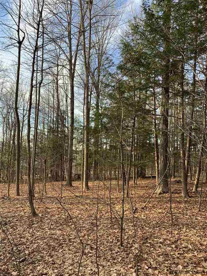0 Line Road Berne, NY 12023 - Photo 20 of 32 Photo 20