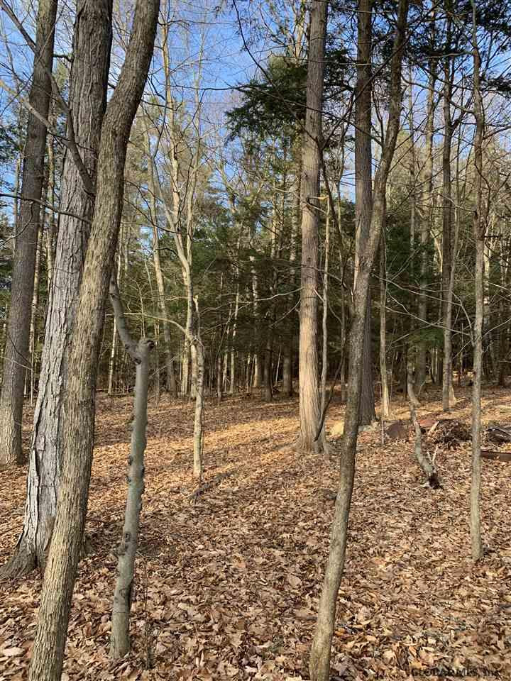 0 Line Road Berne, NY 12023 - Photo 21 of 32 Photo 21