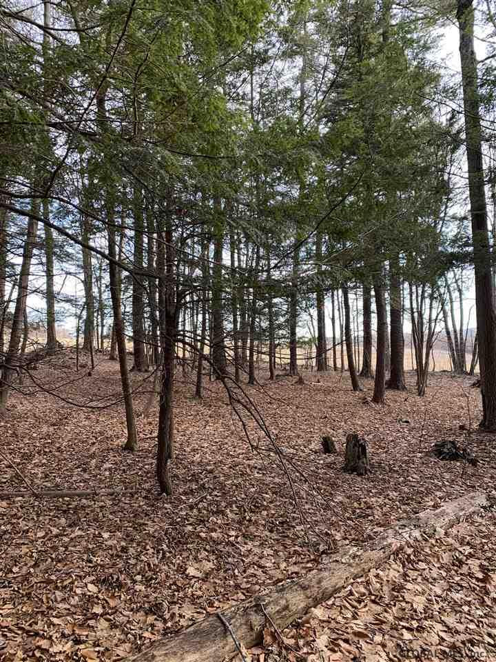 0 Line Road Berne, NY 12023 - Photo 22 of 32 Photo 22