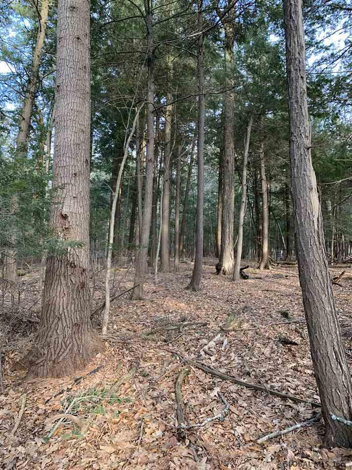 0 Line Road Berne, NY 12023 - Photo 23 of 32 Photo 23