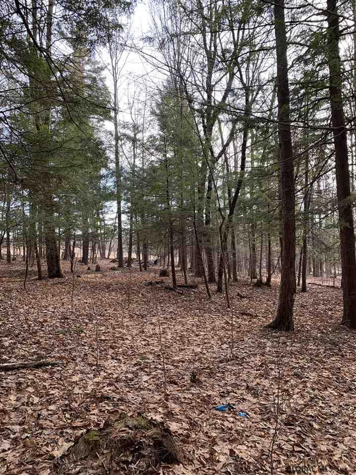 0 Line Road Berne, NY 12023 - Photo 24 of 32 Photo 24