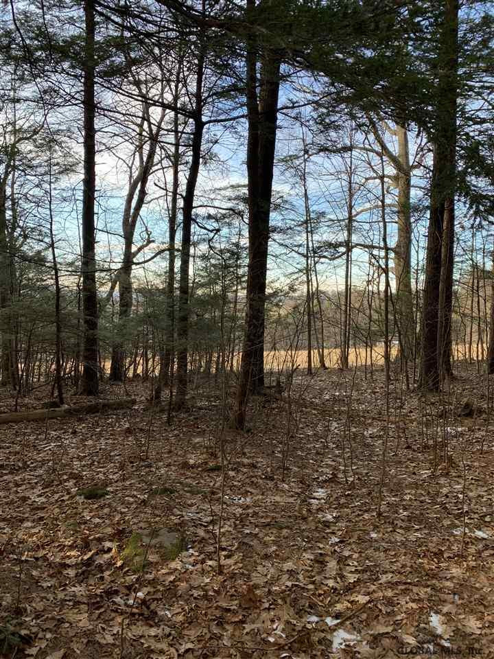 0 Line Road Berne, NY 12023 - Photo 25 of 32 Photo 25