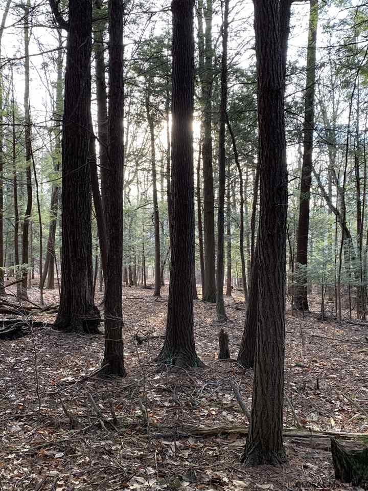 0 Line Road Berne, NY 12023 - Photo 26 of 32 Photo 26