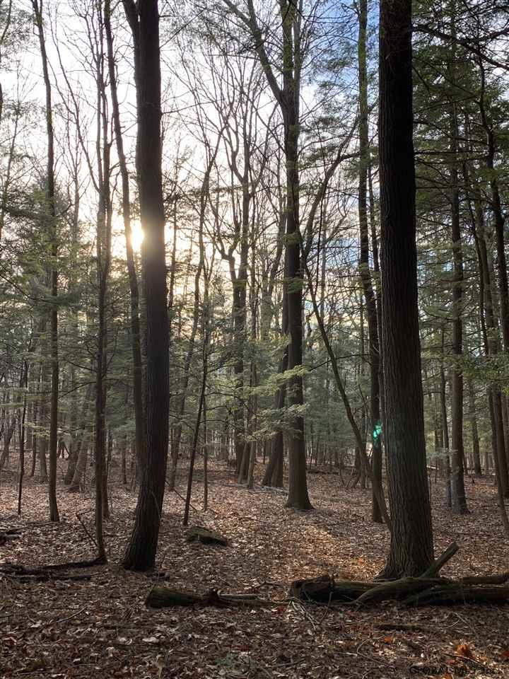 0 Line Road Berne, NY 12023 - Photo 27 of 32 Photo 27