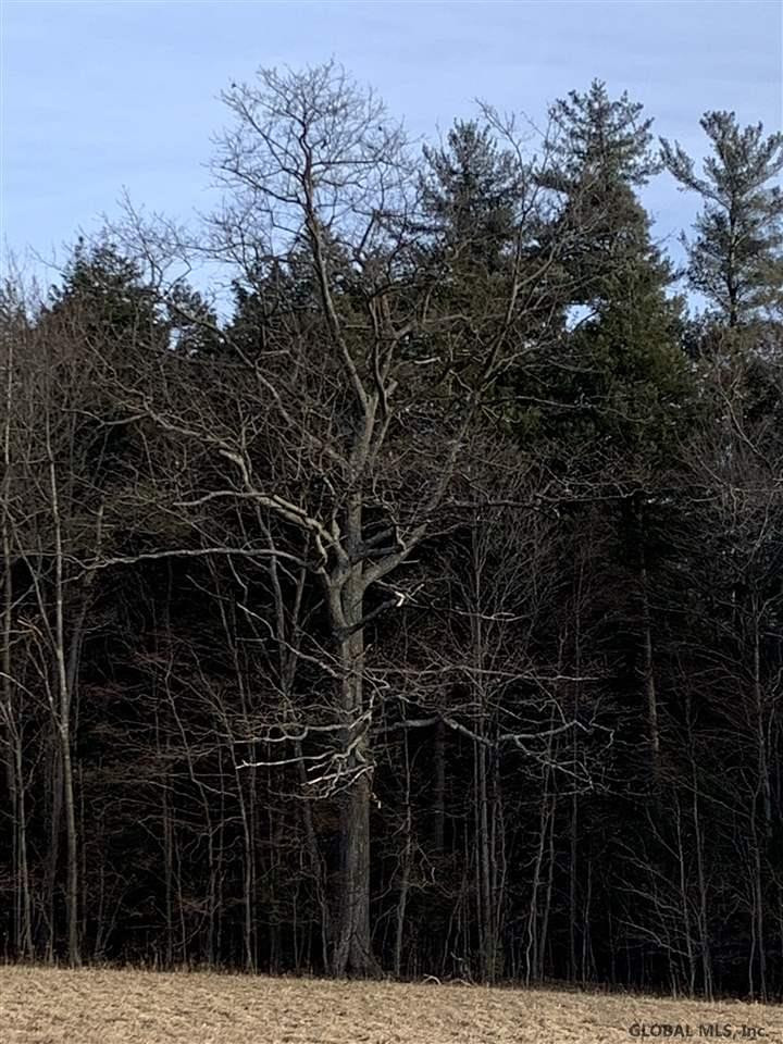 0 Line Road Berne, NY 12023 - Photo 28 of 32 Photo 28
