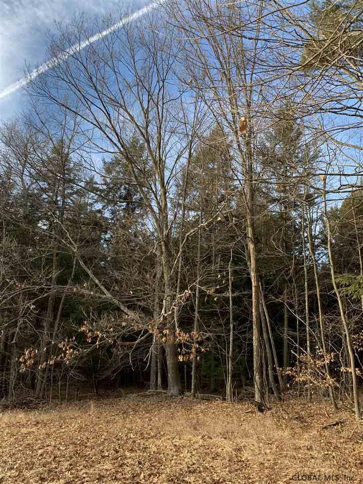 0 Line Road Berne, NY 12023 - Photo 29 of 32 Photo 29