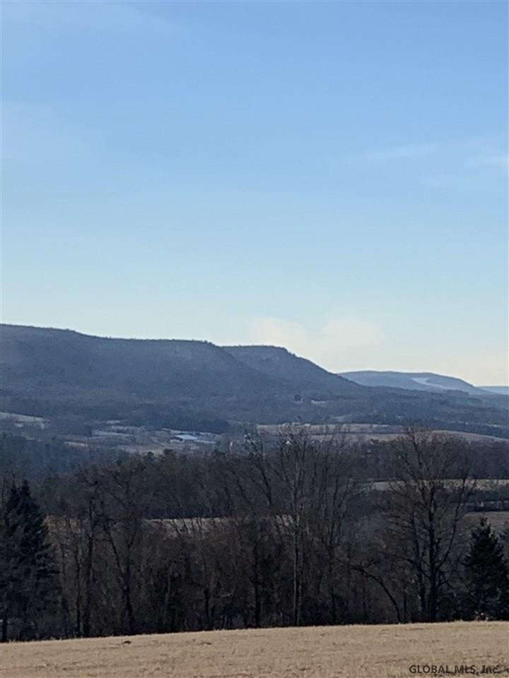 0 Line Road Berne, NY 12023 - Photo 3 of 32 Photo 3