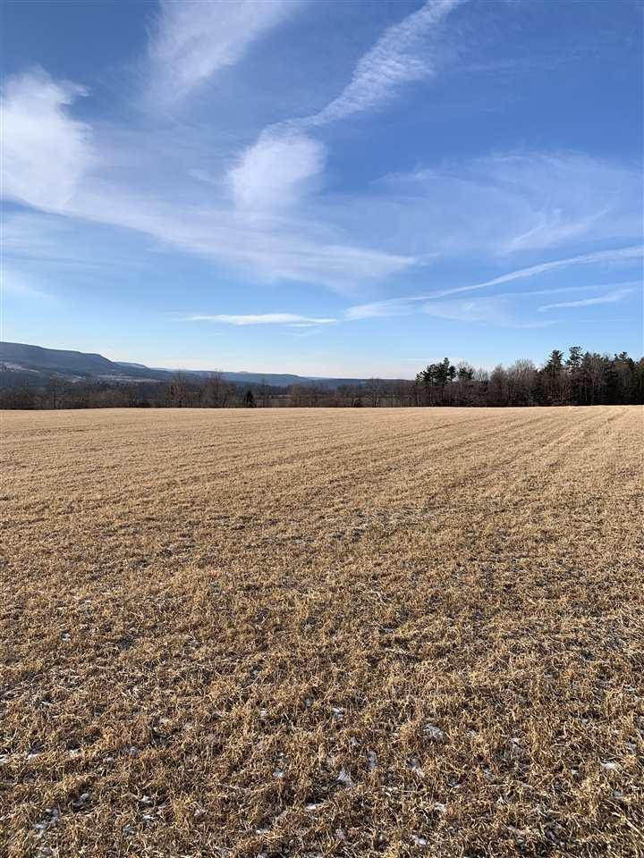 0 Line Road Berne, NY 12023 - Photo 6 of 32 Photo 6