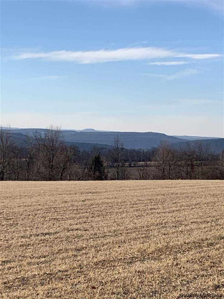 0 Line Road Berne, NY 12023 - Photo 7 of 32 Photo 7