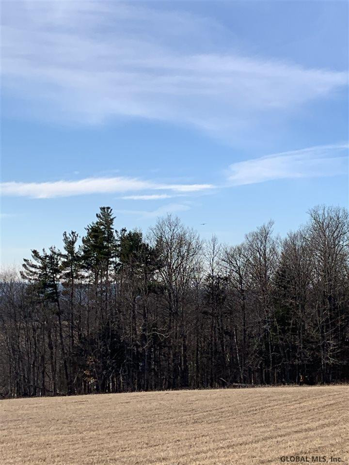 0 Line Road Berne, NY 12023 - Photo 10 of 32 Photo 10