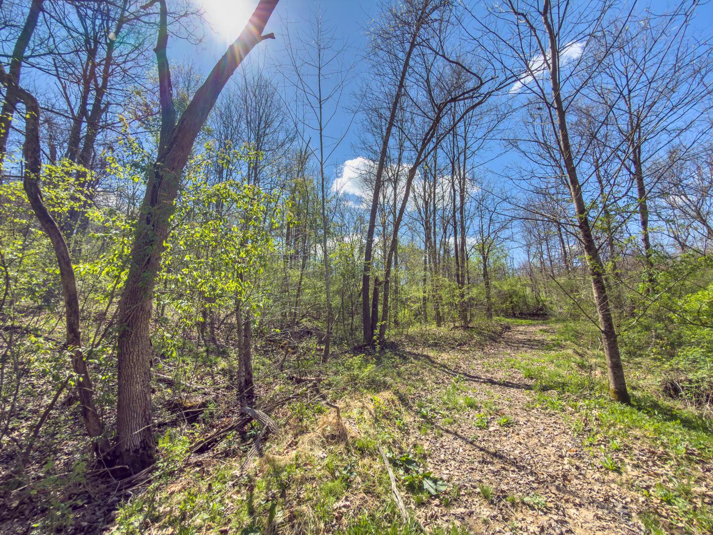 5235 Pounds Road Glouster, OH 45732 - Photo 4 of 28