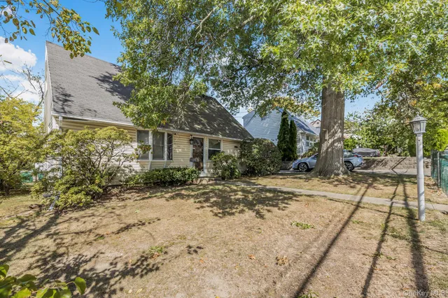 a view of a yard with plants and trees