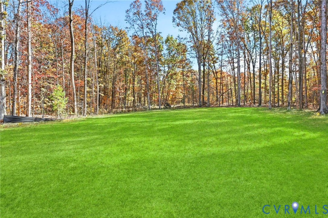 5888 Cartersville Road New Canton, VA 23123 - Photo 32 of 33 a view of a yard with a trees