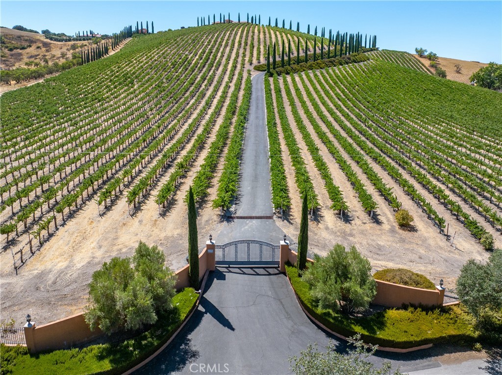 725 Spring Creek Way Templeton, CA 93465 - Photo 2 of 70 a view of a yard with plants