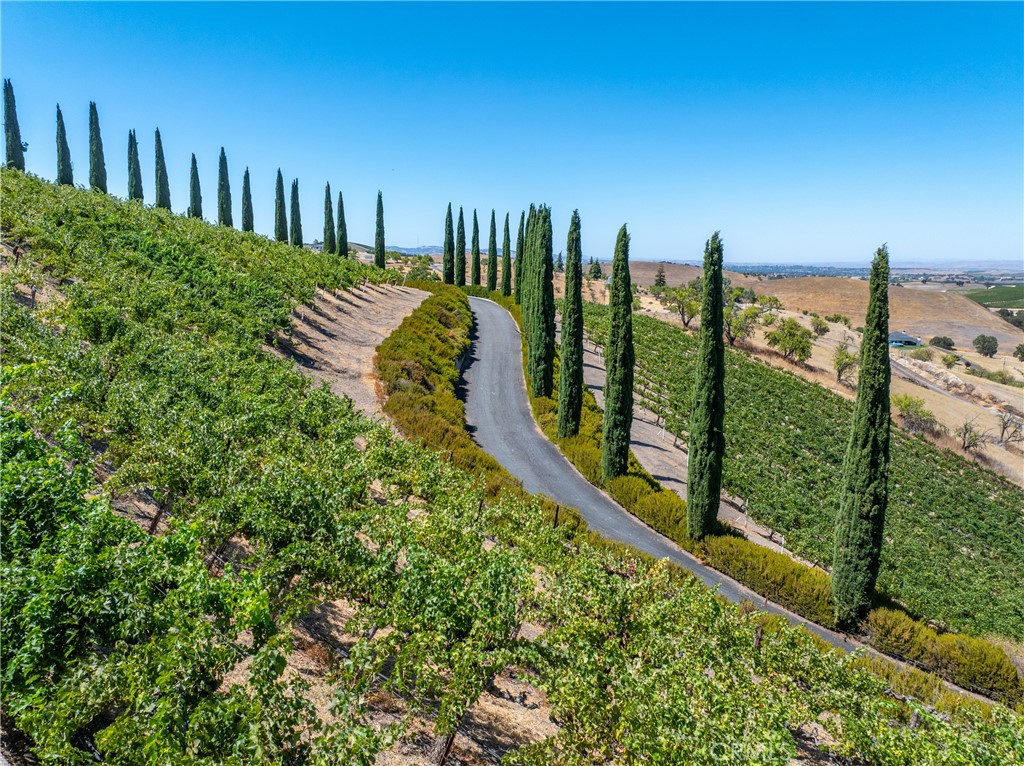 725 Spring Creek Way Templeton, CA 93465 - Photo 8 of 75