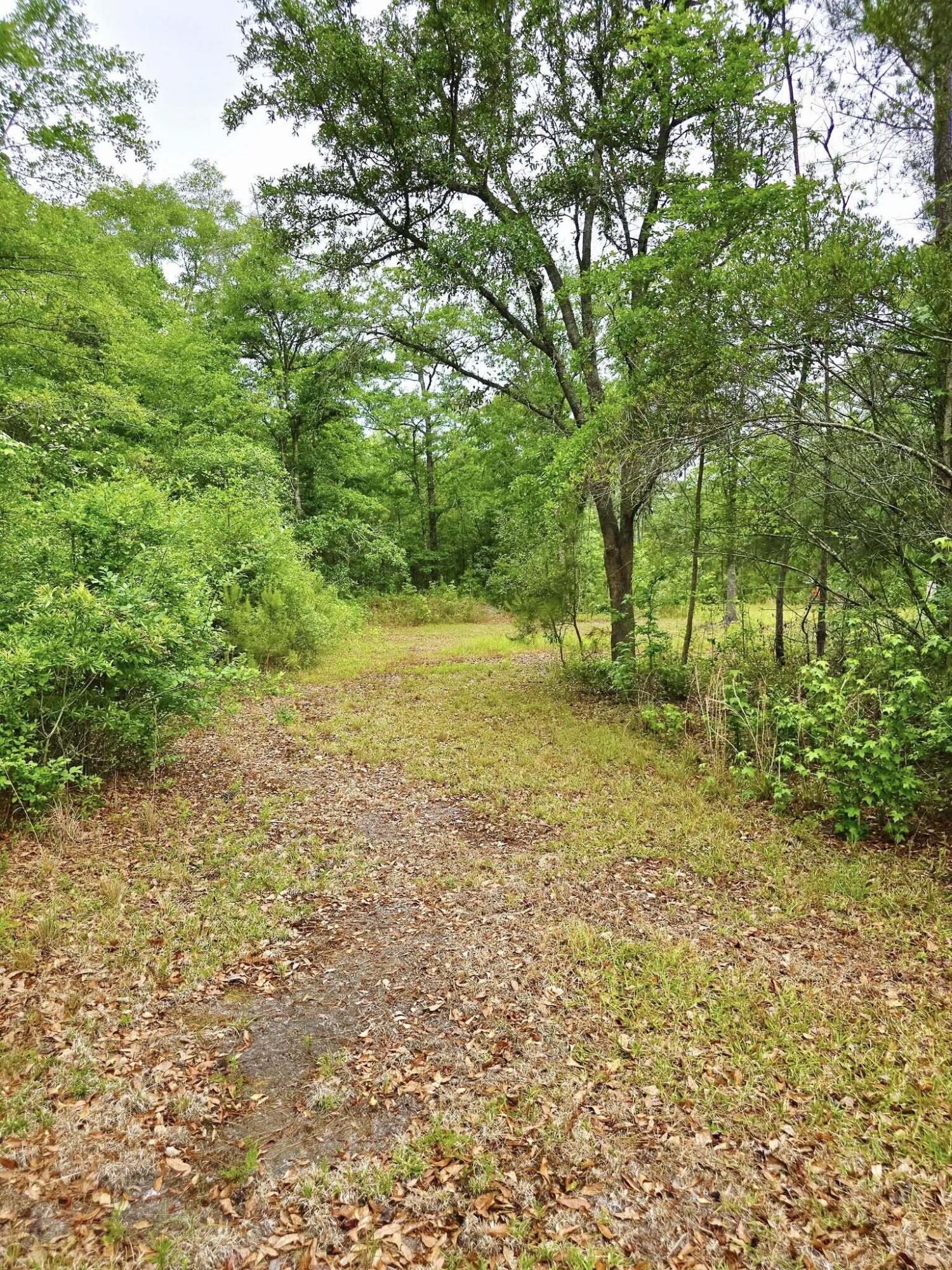 9489 Sidneys Road Round O, SC 29474 - Photo 28 of 29 495329739_10223174642029002_305043498858