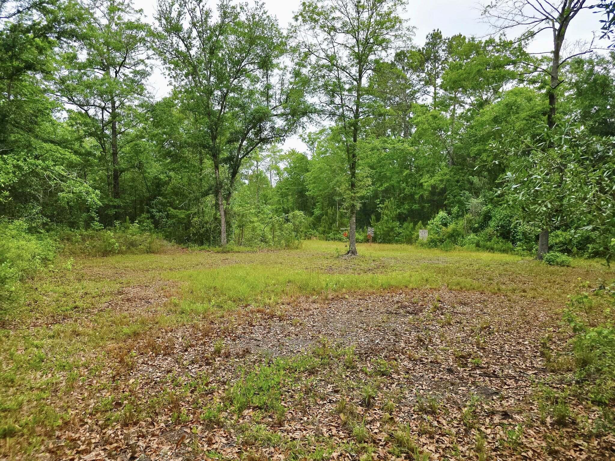 9489 Sidneys Road Round O, SC 29474 - Photo 29 of 29 495362206_10223174641668993_412324850422