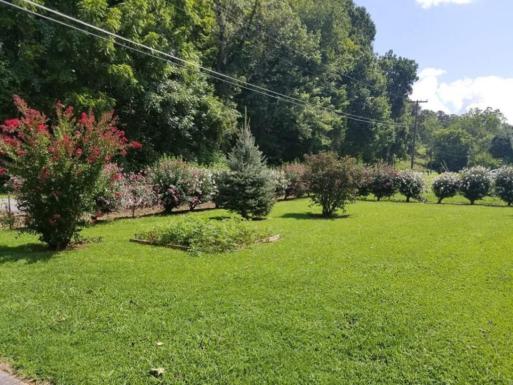 697 Long Hollow Road Elizabethton, TN 37643 - Photo 17 of 20 Photo 17