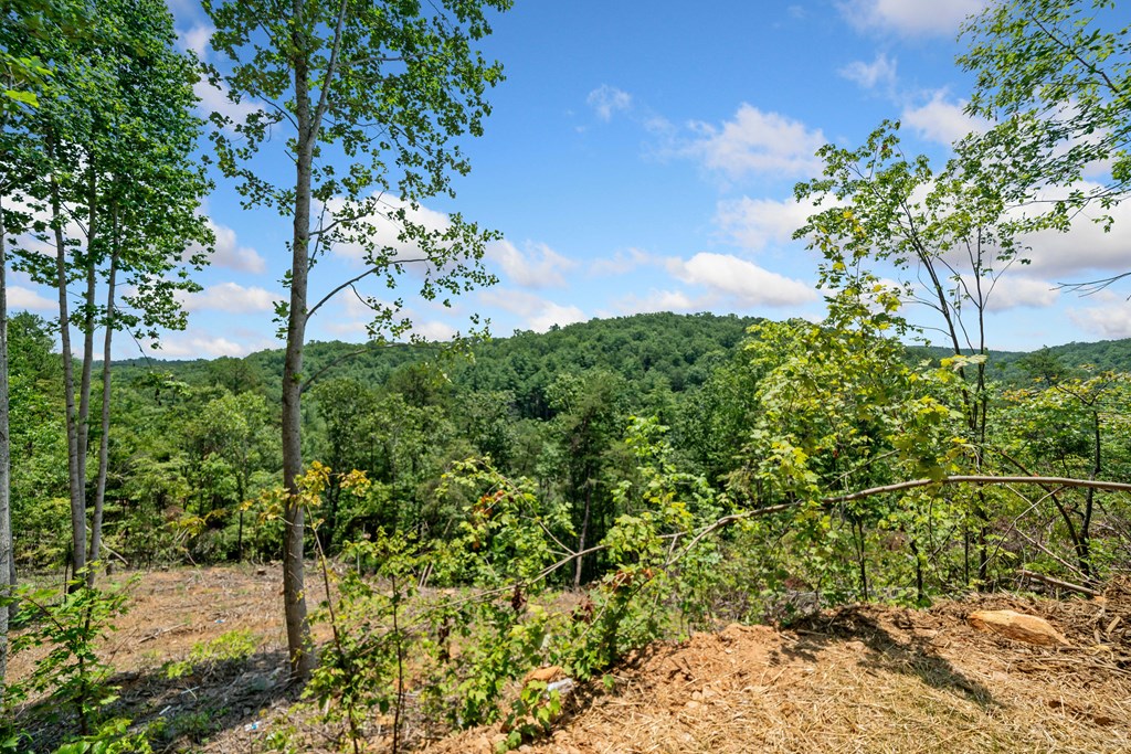 1374 Northeast Foxhound Ranger, GA 30734 - Photo 37 of 45 Gallery Image 37