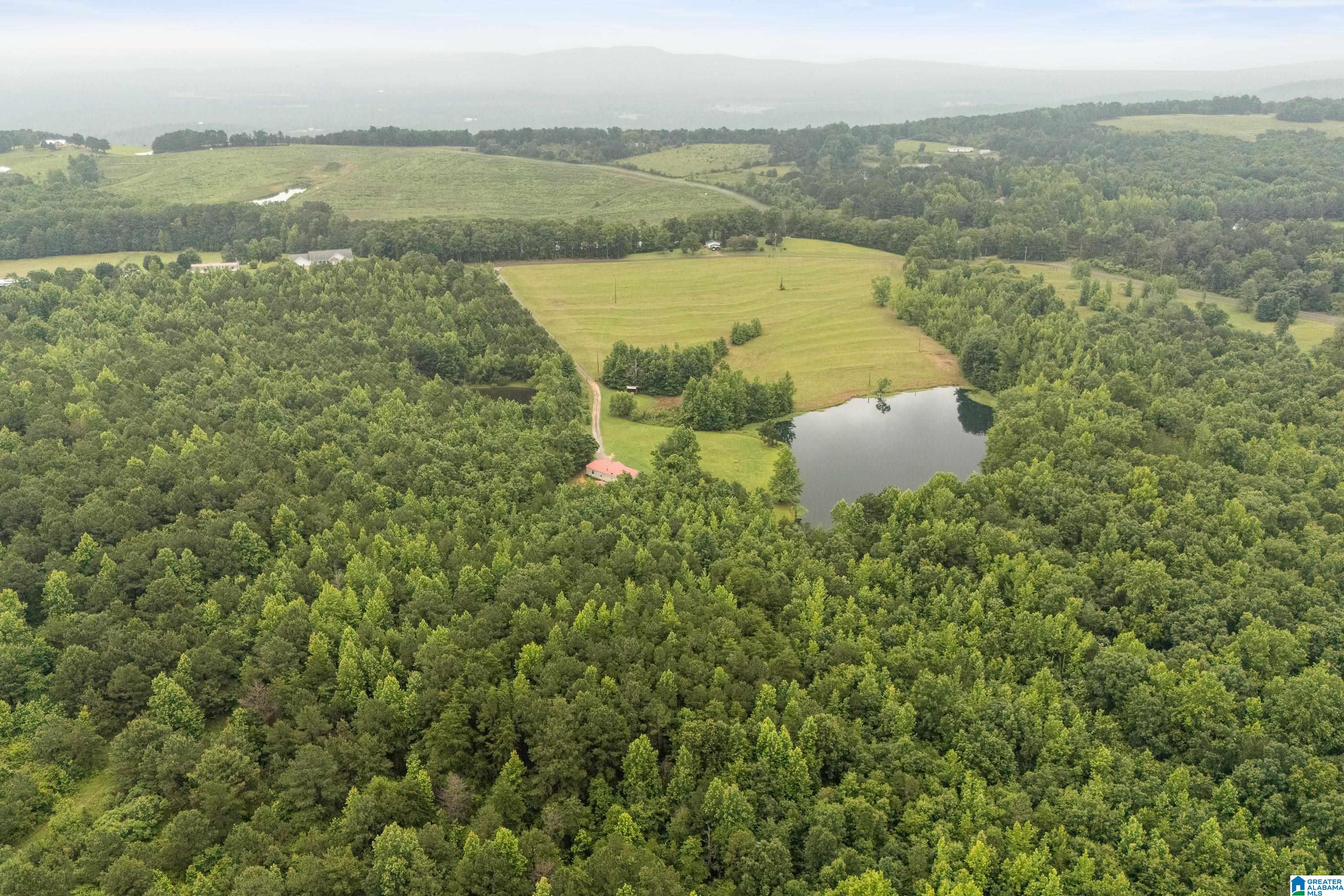 1484 Jones Chapel Loop, Unit 1484 Springville, AL 35146 - Photo 23 of 27