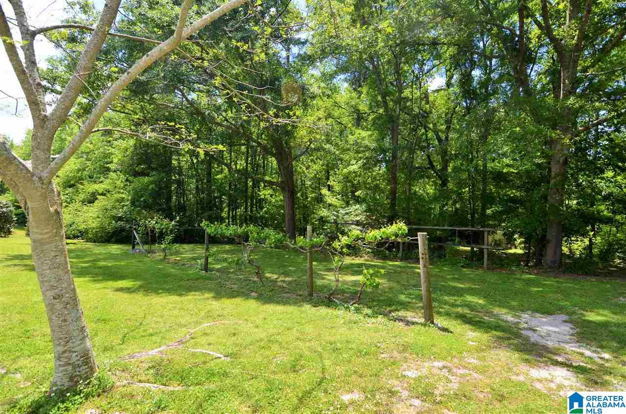 935 Jones Road Ohatchee, AL 36271 - Photo 45 of 47