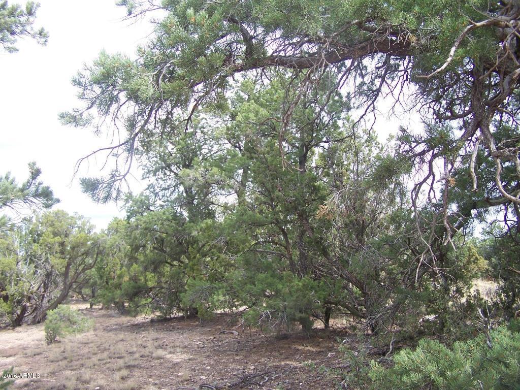 8553 North S Rim Ranch Road, Unit 289 Williams, AZ 86046 - Photo 2 of 12 20161227202604166554000000-o