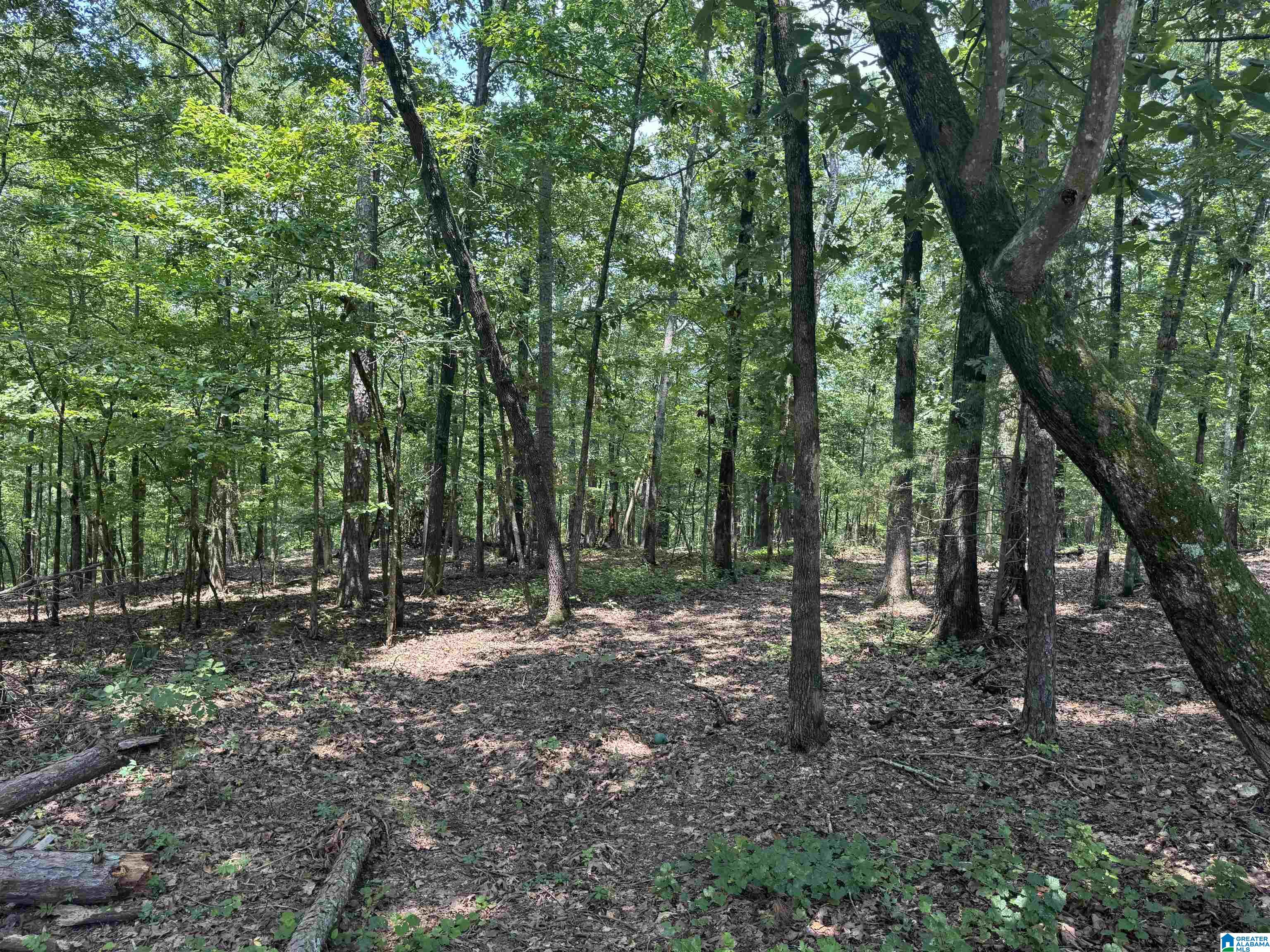 305 Stone Ridge Trail North Anniston, AL 36207 - Photo 55 of 72