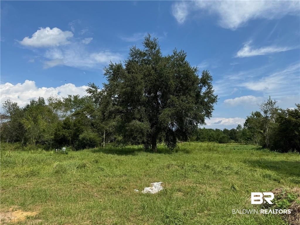 6575 East Ranch Road Grand Bay, AL 36541 - Photo 17 of 19 View of nature