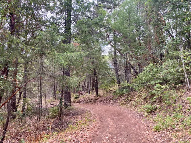 $209,000 | 46700 Highway 101, Laytonville, CA 95454