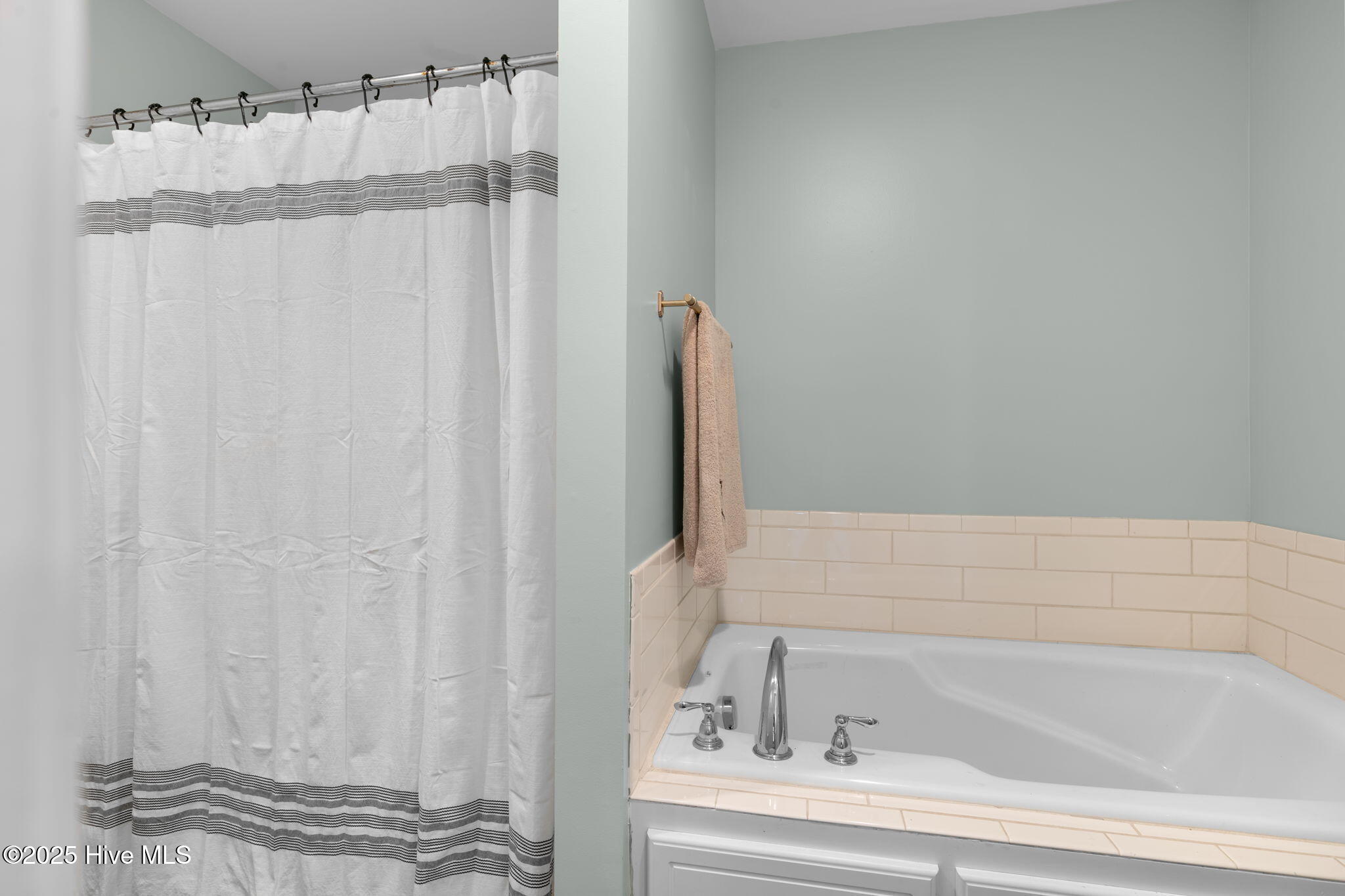 10369 Chestnut Ridge Road Bailey, NC 27807 - Photo 22 of 38 Master Bath 2
