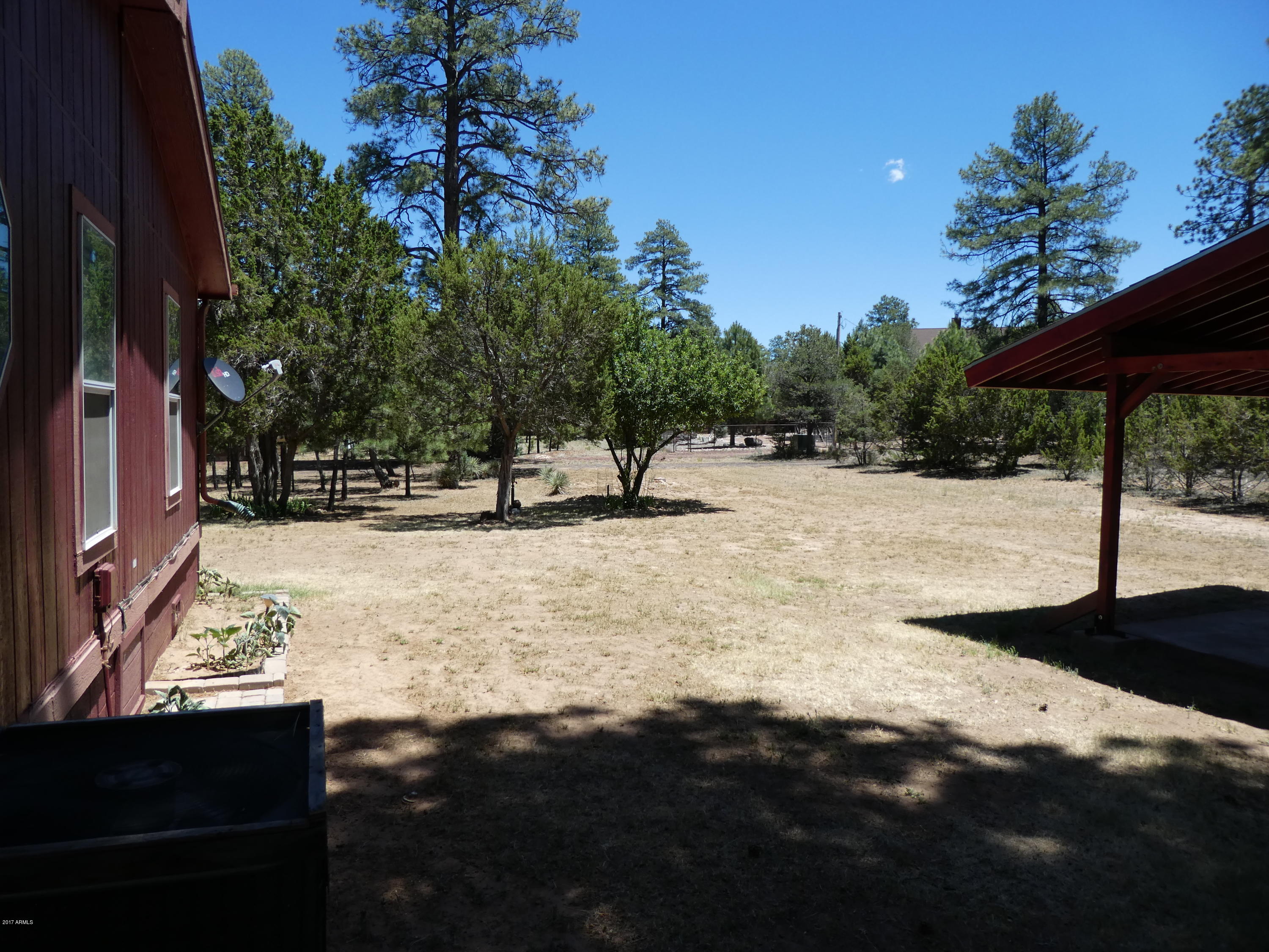 3021 Aspen Road Overgaard, AZ 85933 - Photo 18 of 28 P1000013